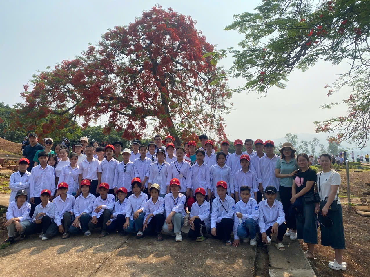 Hoạt động chuyên môn